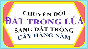 MUỐN CHUYỂN ĐẤT TRỒNG LÚA SANG ĐẤT TRỒNG CÂY HẰNG NĂM CẦN ĐIỀU KIỆN GÌ?