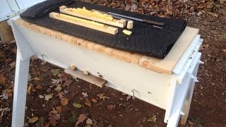 What do Bees do in the Winter by Jon Peters