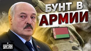 Бунт в армии Беларуси! Солдаты наотрез отказались подчиняться Лукашенко