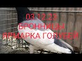 03.12.23 ЯРМАРКА ГОЛУБЕЙ. БРОННИЦЫ. МОСКОВСКАЯ ОБЛАСТЬ