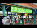 Parrot pet shop  pet shop visit  pet store  birds4u