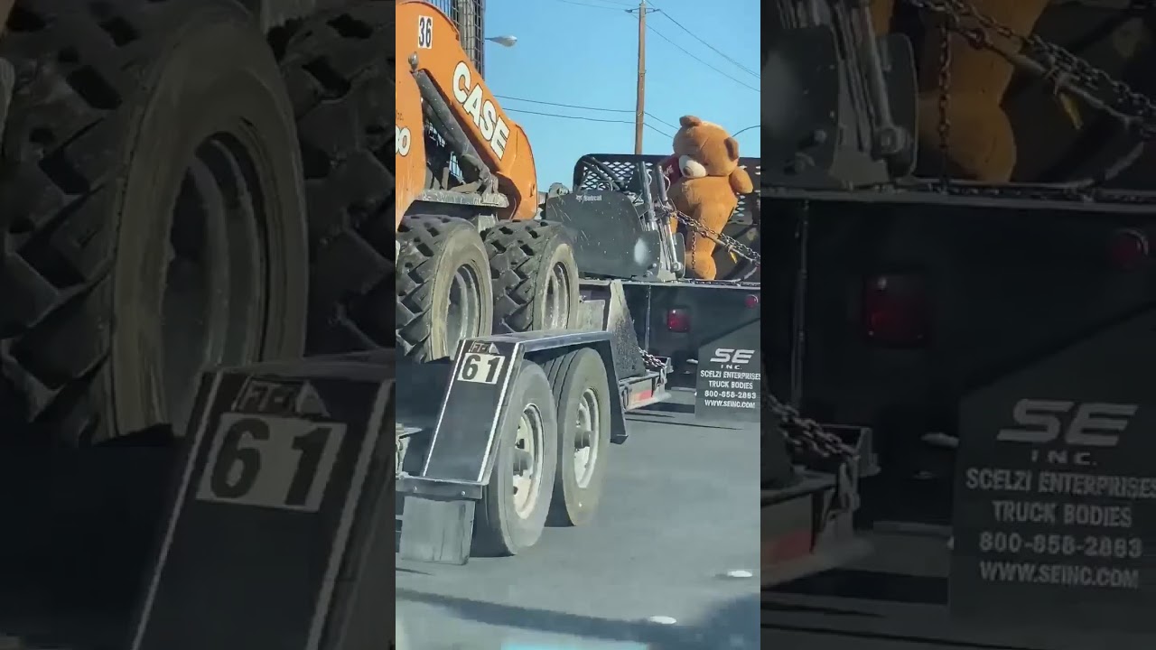 BIG TEDDY BEAR RIDING ON A TRUCK! YouTube