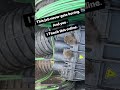 Found the reason for the fiber outage 🐭 #fiberoptics #fibersplicing #fibertechnology