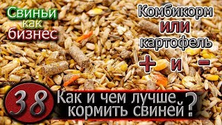 ВСЕ ВИДЫ КОРМЛЕНИЯ СВИНЕЙ