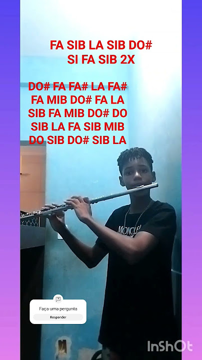 BUM BUM TAM TAM com notas na flauta transversal - MC Fiot - KONDzilla #musica #flautatransversal