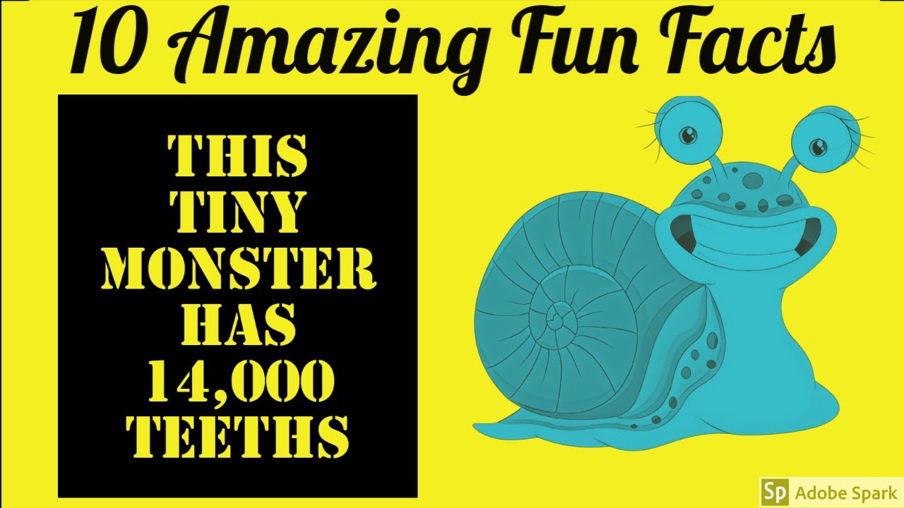 10 Amazing Fun Facts that would blow your mind - YouTube