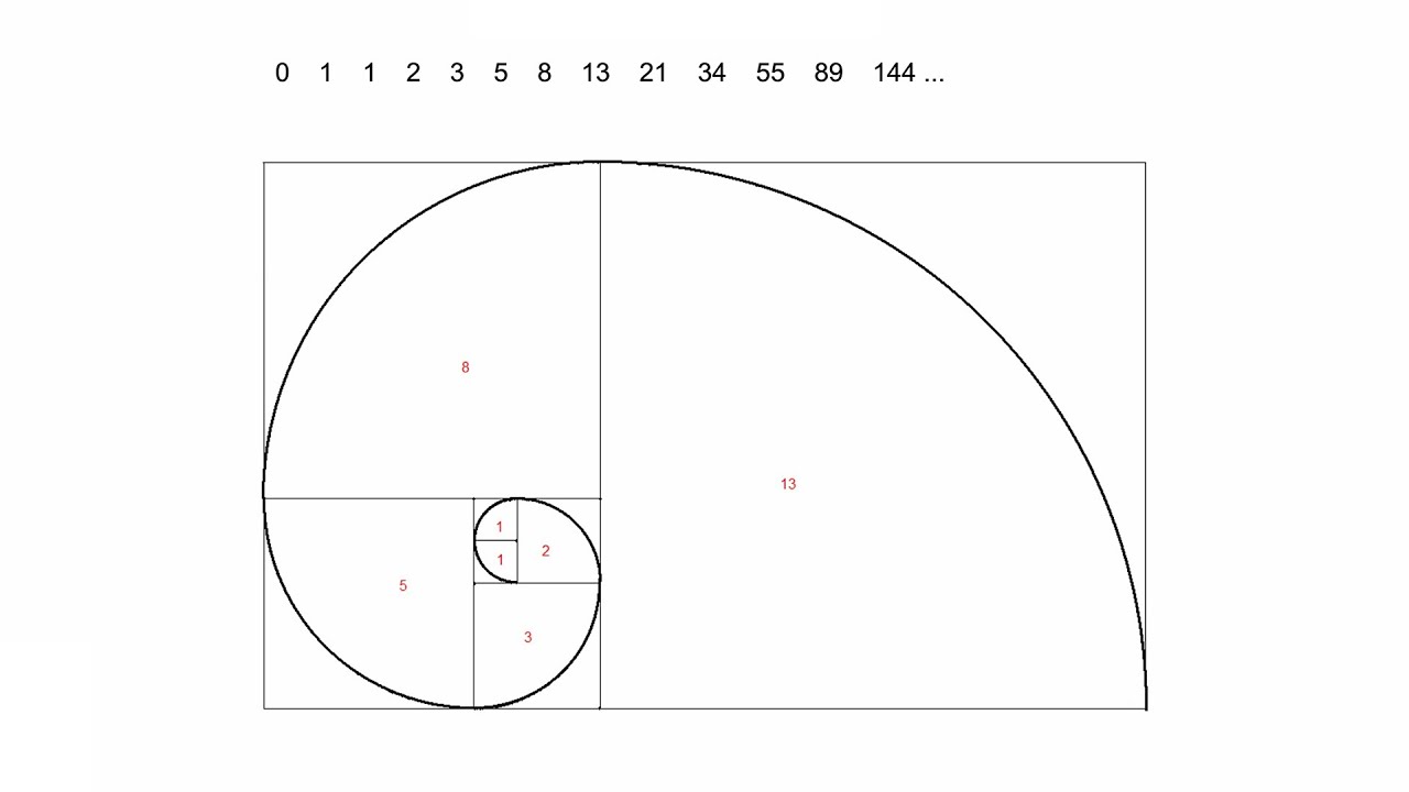 USE THE GOLDEN RATIO AND THE FIBONACCI SEQUENCE TO MAKE A PAINTING (PART 1)  