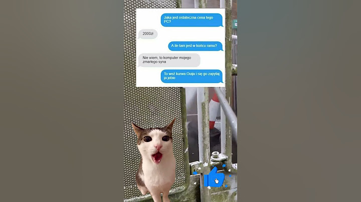 To nie mój komputer?! #funny #memes #pets #cute #memy #polska #humor #śmieszne