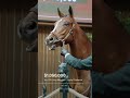 Hip 278 - $1.05 million