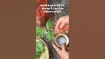 बेल वृक्ष का उपाय जो चाहोगे मिलेगा #pradeepmishra #motivationalvideo #harharmahadev #shivmahapuran