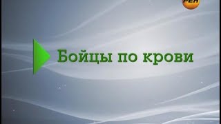 "Живая тема: бойцы по крови"