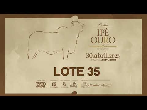 LOTE 35 GSCA 2069