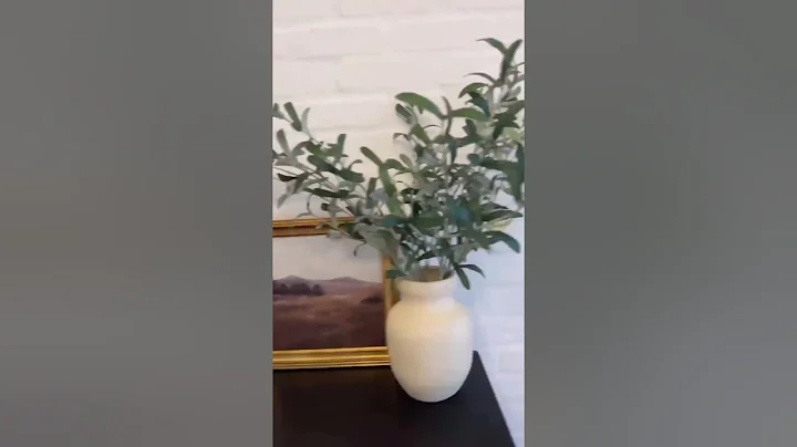 Romabio lime slurry on General Shale Thin Brick installed directly to drywall