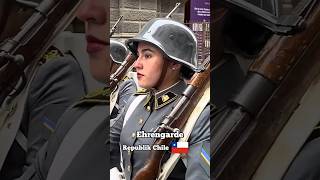 Chile vs. Deutschland - die Ehrengarde 🦅🇩🇪#wachbataillon #bundeswehr #militär #tradition #garde