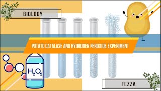 potato hydrogen peroxide