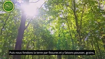 Sourate ABASA / IL S'EST RENFROGNÉ en français | Sourate 80 سورة عبس