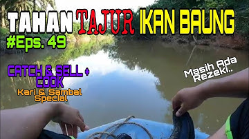 Tahan Tajur Ikan Baung Eps. 49