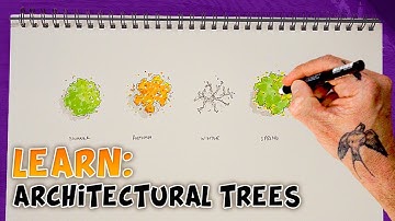 Architectural & Landscape Tree Sketching  Tutorial | Top Tip | Sketchy Brett