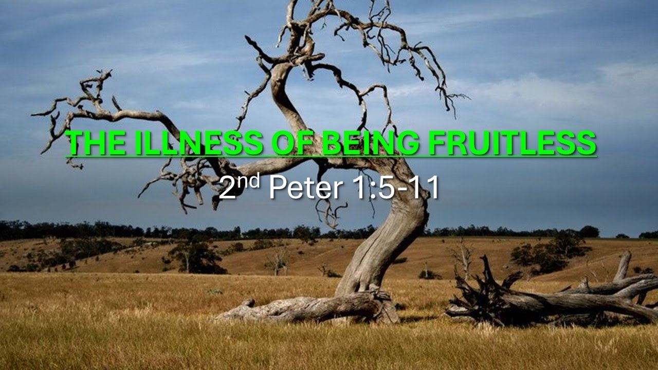THE ILLNESS OF BEING FRUITLESS 2nd Peter 1 5 11 Sunday Message the-illness-of-being-fruitless-2nd-peter-1-5-11-sunday-message