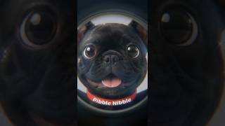 Pibble in my brain🐾 Viral dog dancing #frenchbulldog #pibble #frenchbulldog #dogdance #fyp #dogsong