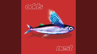 Watch Odds Say You Mean It Wondergirl video