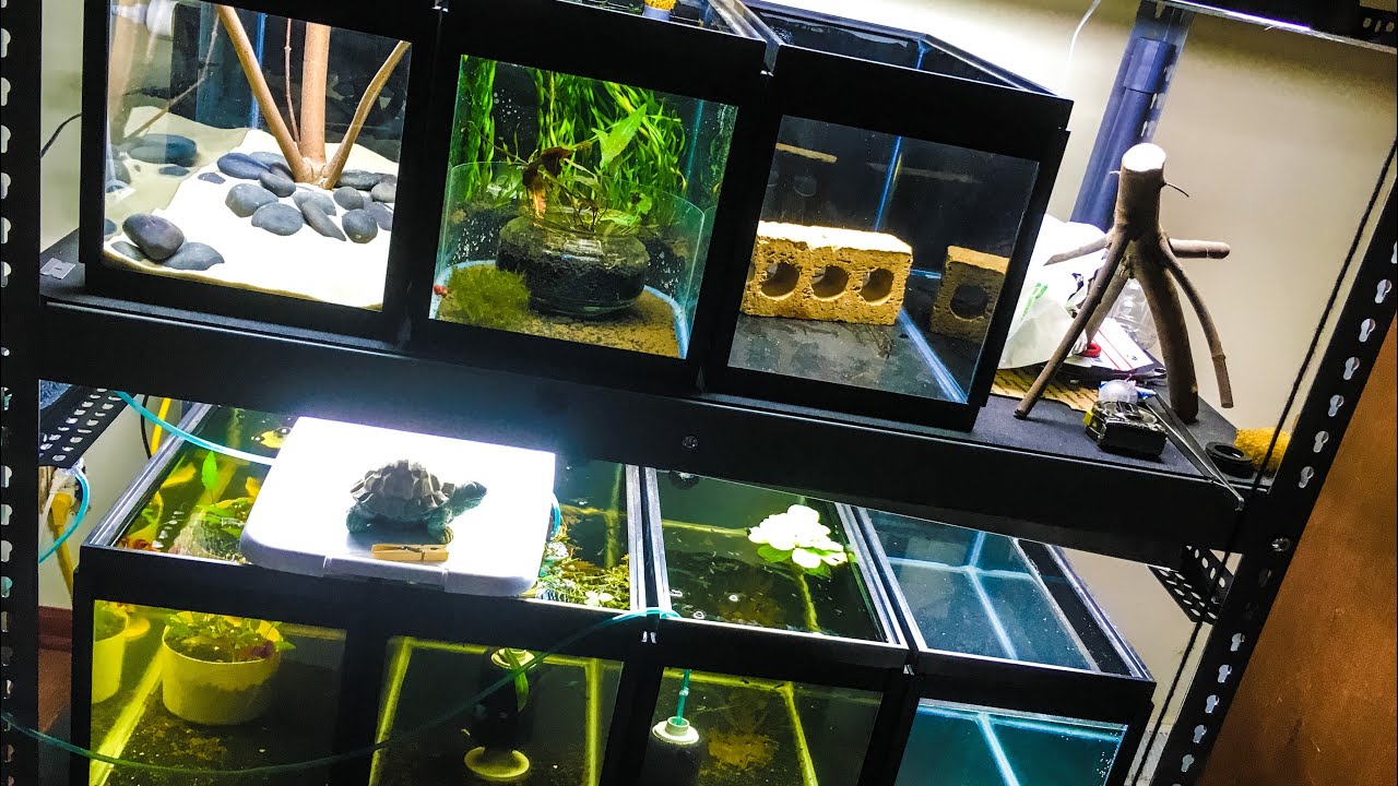 Aquarium Rack Stand Update - YouTube