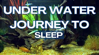 Dreamy Underwater Sleep Meditation