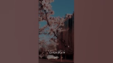 ايات من سورة فاطر بصوت الشيخ ماهر المعيقلي