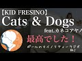 【KID FRESINO|Cats &amp; Dogs feat.カネコアヤノ】素晴らしい楽曲です!!!  #42