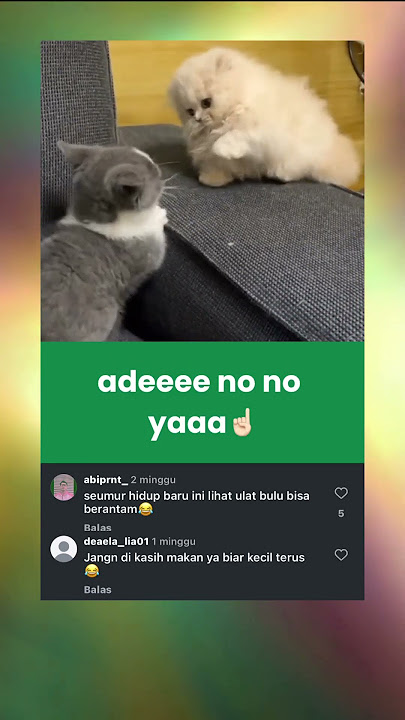 ulet bulunya lagi pada becanda bareng, so cuteee🥰😘