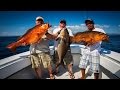 Extreme Inshore Fishing In Panama