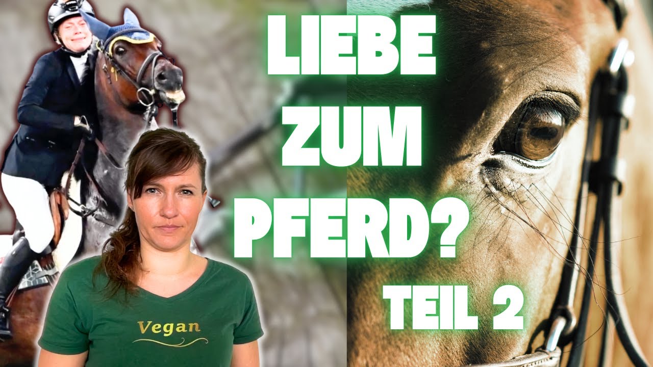 REAKTION TEIL 2: Pferde - Geliebt oder Gequält?