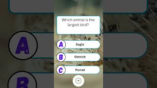 Which animal is the largest bird?  #quiz #QuizTime #fun #noblequiz #fblifestyle
