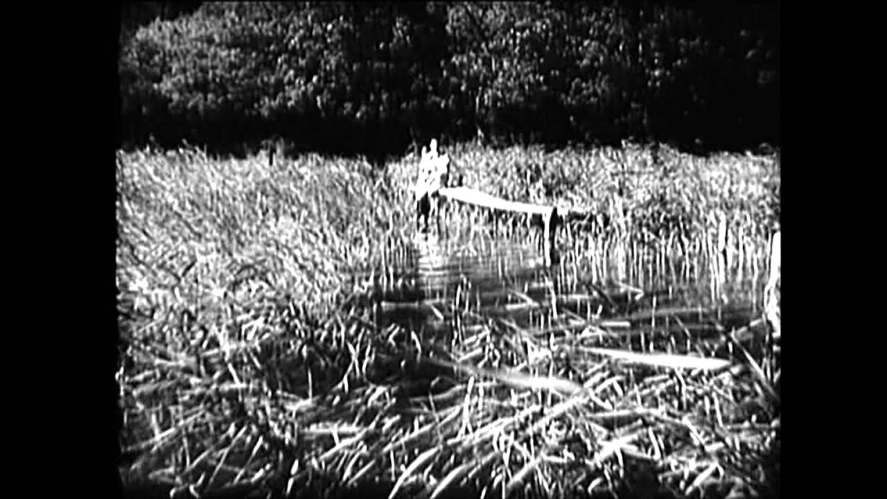 Watch Sumie - Speed Into (Official Video) on YouTube Watch Sumie - Speed Into (Official Video) on YouTube