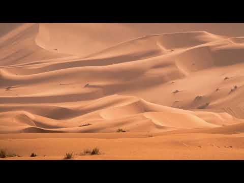 يا رب إن حل بي ما لا مرد له