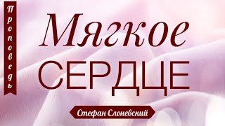 Soft Heart - Stefan Slonievsky (2 Corinthians 7:14-15) screenshot 2