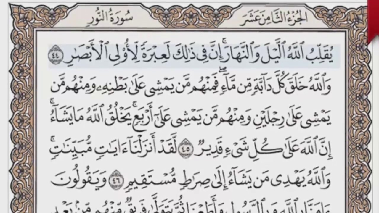 القرآن الكريم بالصفحات صوت وصورة ص/ 356 الشيخ محمود خليل الحصري بمد المنفصل