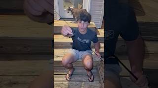 Famous How to catch a fish to Two seconds. Profile