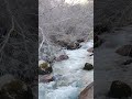 Сайрам-Су Горная Речка в Сайрам-Угамском национальном парке. Казахстан! Kazakhstan!ПОДПИШИСЬ!