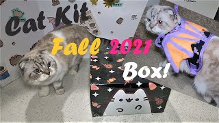 Cat Kit Fall 2021 Subscription Pusheen Box!
