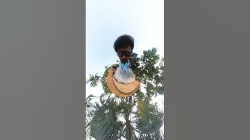 Insta 360 camera video.#fun #funny #360camera #insta360 #travel #trending #viralshort