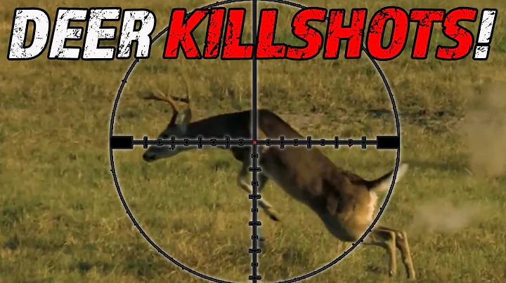 Texas Deer and Hog KILL SHOT Compilation | We SMOKED EM’ ALL!
