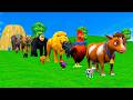 Paint & Animals Cow,Gorilla,Elephant,Giraffe,Tiger,Lion, Fountain Crossing Transformation Cartoon