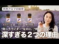 なぜ同じラベンダーでも香りが違うのか？「深すぎる」２つの理由