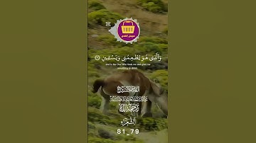القرآن الكريم| الشيخ عبدالباسط عبدالصمد رحمه الله | سورة الشعراء آية [79 - 81]