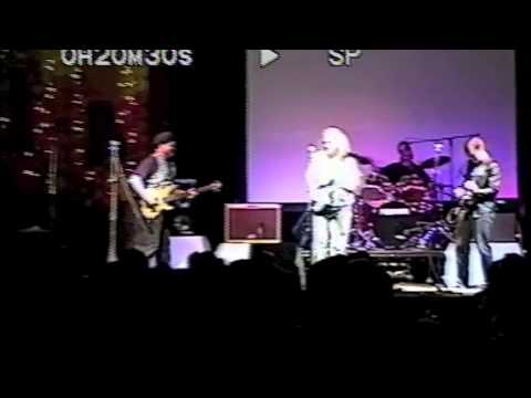 The Bent Back Tulips