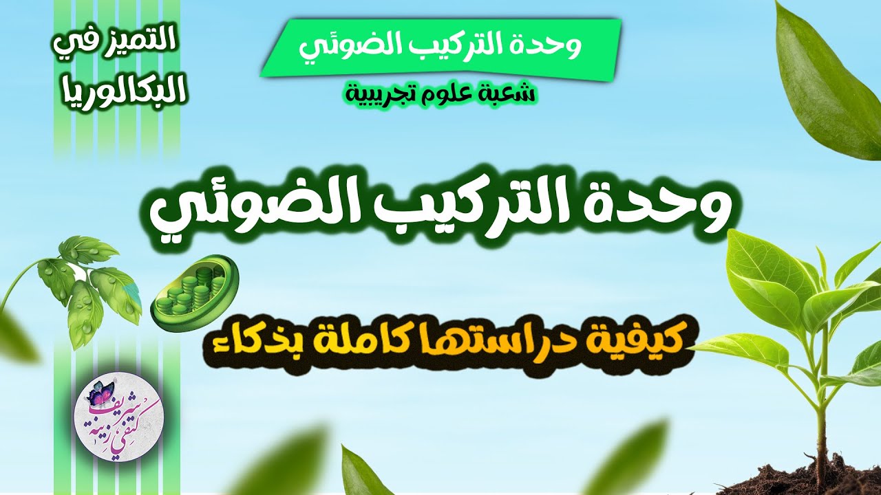 هااام ⛔️حول التركيب الضوئي| بكالوريا 2025 🍃🤔