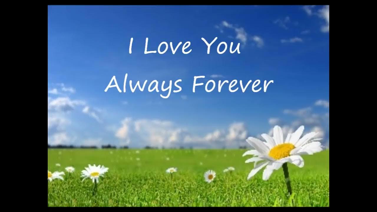 I Love You Always Forever - Donna Lewis (Lyrics) - YouTube