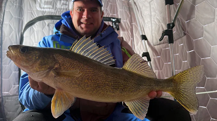 Early Ice Walleye in Brutal 30 MPH Winds
