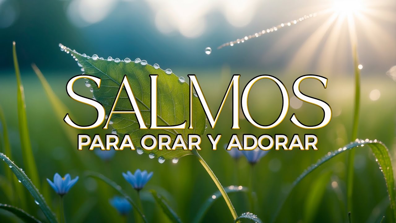 SALMOS CANTADOS del Rey DAVID 🎶| Música Cristiana para MEDITAR, ORAR y RECIBIR FORTALEZA 🕊️
